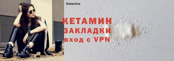 гидра Няндома