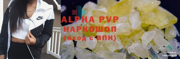 сатива Нязепетровск