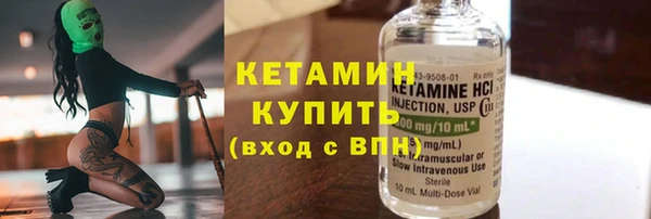 гидра Няндома